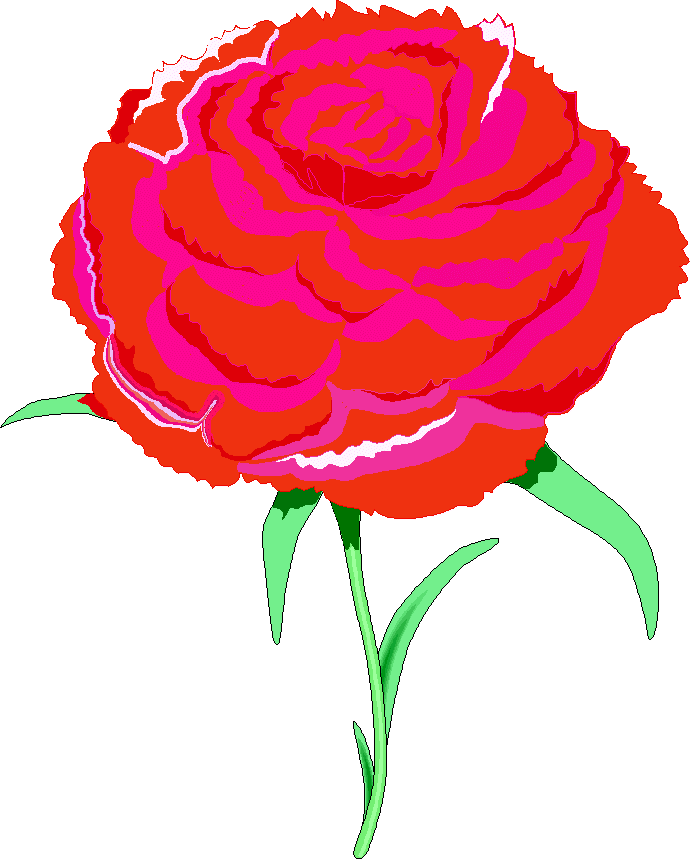 red pink (32960 bytes)