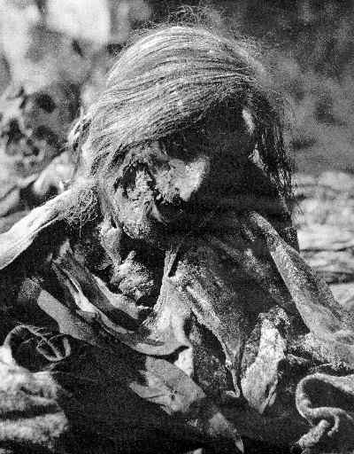 Leichen (33119 Bytes)